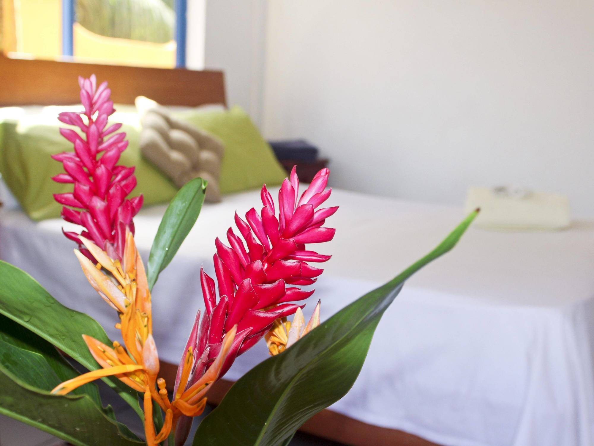 Vicky'S Holiday Apartment Beau Vallon  Extérieur photo