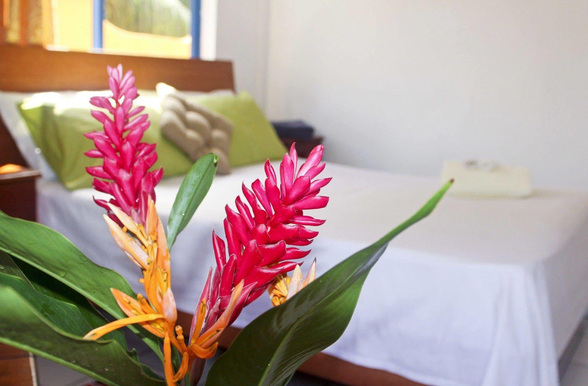 Vicky'S Holiday Apartment Beau Vallon  Extérieur photo